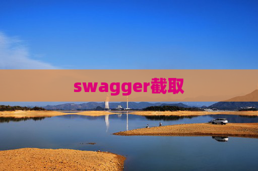 swagger截取